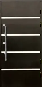 Venkovní vchodové dveře P46