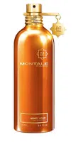 Montale Honey Aoud - EDP 100 ml
