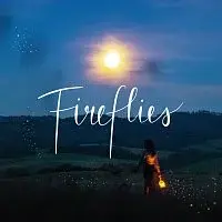 Markéta Veselá & Friends – Fireflies