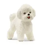 Schleich Bišon frisé