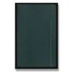 Zápisník Moleskine Precious & Ethical Vegea Boa - měkké desky L, linkovaný, zelený