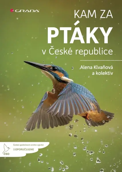 Kam za ptáky v České republice - Alena Klvaňová