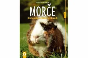 Morče - Roztomilý a vitální společník - Immanuel Birmelin