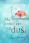 Má životní cesta za duší - Sri Chinmoy