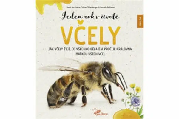 Jeden rok v životě včely - David Gerstmeier, Hannah Götteová, Tobias Miltenberger