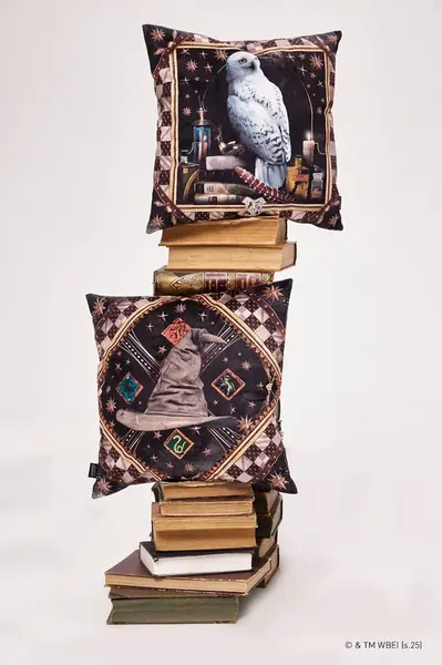 Dekoratívna obliečka na vankúš Medicine 2-pak