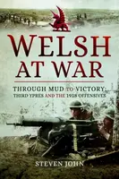 The Welsh at War - Steven John