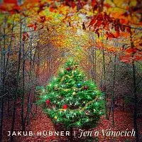Jakub Hübner – Jen o Vánocích