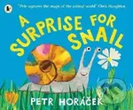Surprise for Snail - -