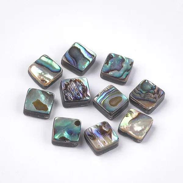 Abalone Shell/Paua Shell Beads