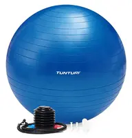 Tunturi Gymnastický míč s pumpičkou zesílený 65 cm varianta modrý