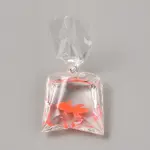 Transparent Resin Big Pendants