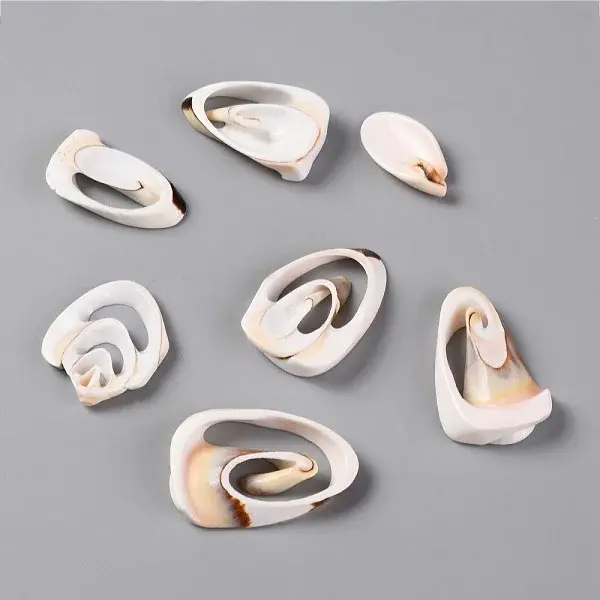 Natural Freshwater Shell Beads