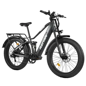 RATTAN PATHEINDER PRO Electric Bike 750W 48V 18Ah 25km/h Grey