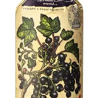 KITL Syrob Černý Rybíz s dužninou 500 ml