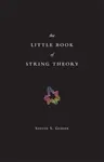 The Little Book of String Theory - Steven S. Gubser