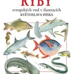 Ryby evropských vod v ilustracích Květoslava Híska