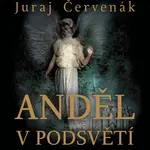 Anděl v podsvětí