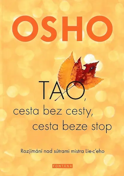 TAO, cesta bez cesty, cesta beze stop