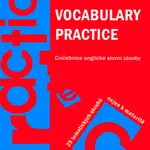 Vocabulary Practice