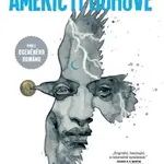 Američtí bohové 1: Stíny - Neil Gaiman - kniha z kategorie Komiksy