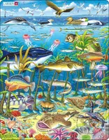 Morský život FH13 - puzzle z kategorie Naučné puzzle