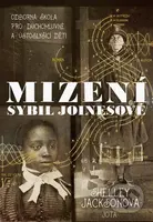 Mizení Sybil Joinesové - Shelley Jackson - kniha z kategorie Detektivky, thrillery a horory