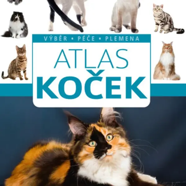 Atlas koček - Barbara V. Tittenbrun-Jazienicka