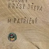 Všecky krásy dřeva - Martin Patřičný - e-kniha