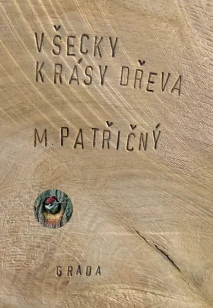 Všecky krásy dřeva - Martin Patřičný