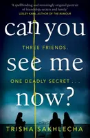 Can You See Me Now? - Trisha Sakhlecha