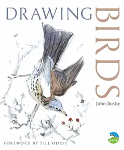 Drawing Birds - John Busby