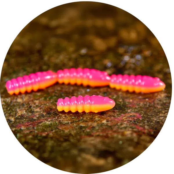 Redbass gumová nástraha trout grub tutti frutti uv color - 3x16 mm