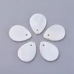 Shell Pendants