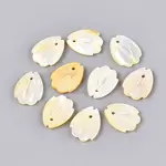 Natural Yellow Shell Charms