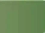 Pastel Caran d'Ache Neocolor II 212 Chromium oxide green