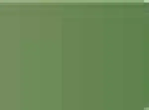 Pastel Caran d'Ache Neocolor II 212 Chromium oxide green