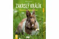 Zakrslý králík - Monika Weglerová