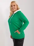 Sweatshirt-RV-BL-9087.77P-green