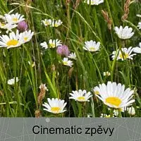 Rostislav Prochovník – Cinematic zpěvy
