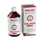 SILVITA Hyalgel Collagen MAXX 500 ml