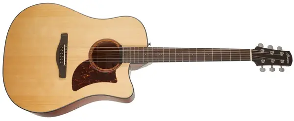 Ibanez AAD170CES Natural