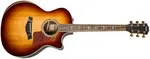 Taylor 814ce Special Edition Cedar Sedona