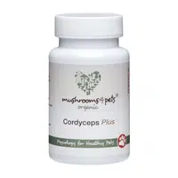 Cordyceps Plus (500 mg) 60 ks