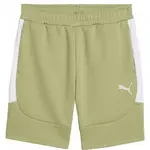 Puma TEAMEVOSTRIPE SHORTS Pánske šortky, khaki, veľkosť