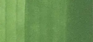 Copic Ciao marker – YG67 Moss