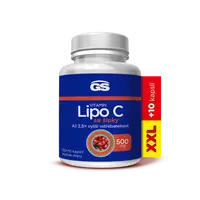 GS Vitamin Lipo C 500 mg se šípky XXL 100 + 10 kapslí