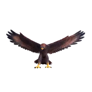 Orel zlatý figurka