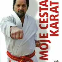 Moje cesta karate aneb Neobyčejná cesta obyčejného člověka (Defekt) - Karel Kesl