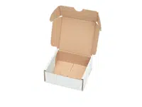 50 ks - Minikrabica/krabička 100x100x40 3VVL biela